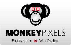 MonkeyPixels-WebDesign